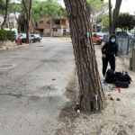 Prove di trazione sugli alberi di viale Anita Garibaldi