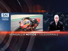 videogiornale saltarelli