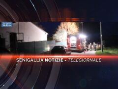 videogiornale omicidio