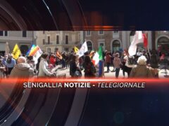 videogiornale enzo carli