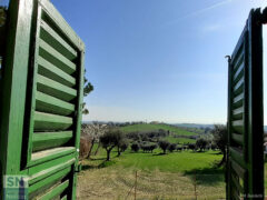 Foto di Mirella Baldetti