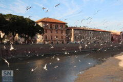 Foto di Fedele Ruvio