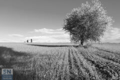 Foto di Elisabetta Saraga