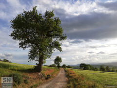 Foto di Sabina Caldarella