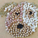 Scuola primaria "S.Maria Goretti" di Corinaldo