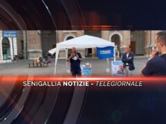 videogiornale paragone carli