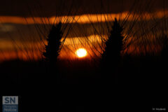 Foto di Massimo Modesti