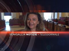 videogiornale enzo carli
