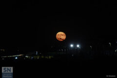 Foto di Massimo Modesti