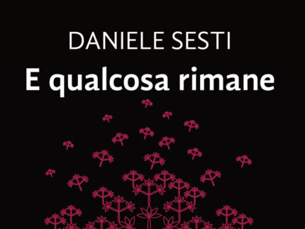 Copertina del nuovo libro di Daniele Sesti