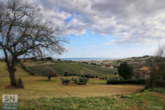 Foto di Mauro Gasparini