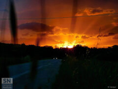 Foto di Meri Venturi