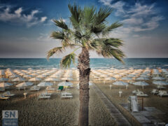 Foto di Paolo Gresta