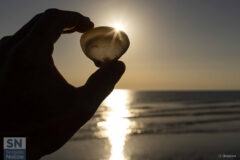 Foto di Daniele Brescini