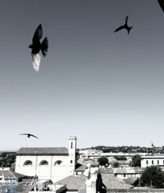 Foto di Mirella Baldetti