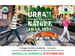 Urban Nature 2021 a Senigallia