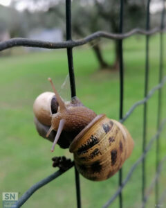 Strada comunale delle Grazie Senigallia - Amore senza confini - Foto di Roberta Bisci