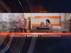 senigallia notizie telegiornale