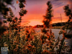 Tramonto a Senigallia - Sole sulla strada -Foto di Meri Venturi
