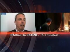 senigallia notizie telegiornale