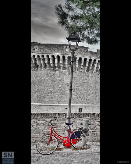 Sullo sfondo la Rocca Roveresca di Senigallia - Bici rossa e aghi verdi - Foto di Claudio Cremonesi