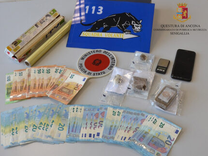 Materiale sequestrato dalla Polizia di Senigallia