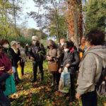 Passeggiata organizzata da Confluenze lungo il fiume Misa alla ricerca delle erbe spontanee