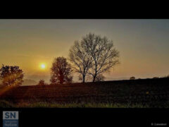 Tramonto e campagne dell'entroterra senigalliese - Campagne marchigiane, ultimi raggi di sole - Foto di Roberto Canestrari- roberto-canestrari
