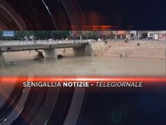 senigallia notizie telegiornale