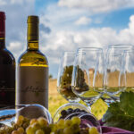 Filodivino Wine Resort&Spa a San Marcello