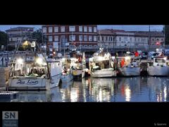 I pescherecci di Senigallia - Zio Lino e gli altri - Foto di Susanna Giommi