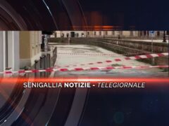 senigallia notizie telegiornale