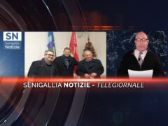 senigallia notizie telegiornale