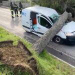 Pino caduto su automezzo lungo stradone Misa a Senigallia