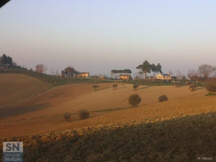Campagne dell'entroterra senigalliese - Le nostre colline - Foto di Marcello Moroni