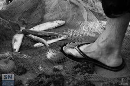 I pescatori di Senigallia - La tratta - Foto di Loriano Brunetti