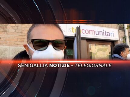 senigallia notizie telegiornale