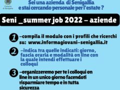 Seni-summer job 2022 - aziende