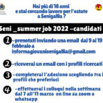 Seni_summer job 2022