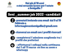 Seni_summer job 2022