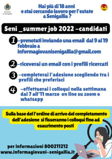 Seni_summer job 2022 