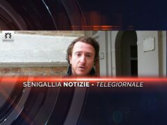 senigallia-notizie-telegiornale