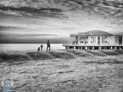 La spiaggia di Senigallia in bianco e nero - Al mare d'inverno sulle dunepaolo - Foto di Paolo Gresta