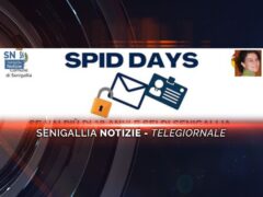 senigallia notizie telegiornale