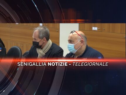 senigallia notizie telegiornale