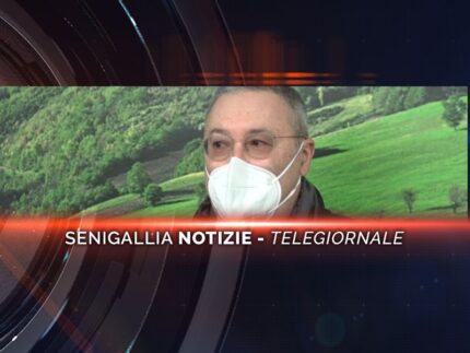 senigallia notizie telegiornale