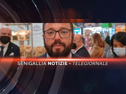 senigallia notizie telegiornale