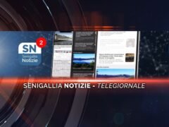 enigallia notizie telegiornale