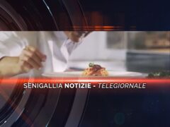 senigallia notizie telegiornale