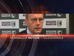 senigallia notizie telegiornale